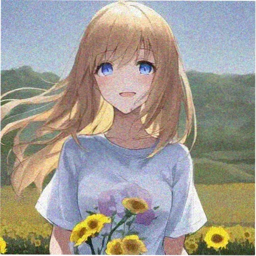 追剧达人Amy头像